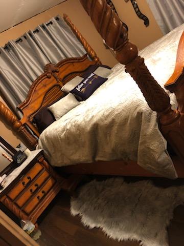 332 Short Cut Road Harleyville, SC 29448 - Photo 12 of 16 master bedroom