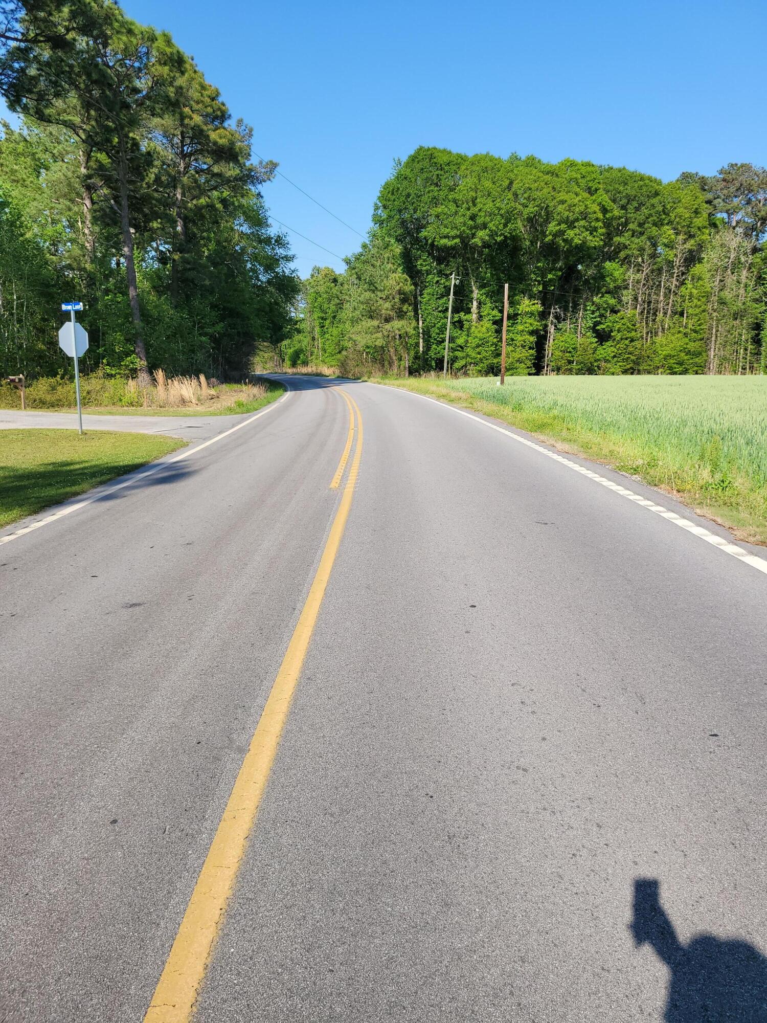 332 Short Cut Road Harleyville, SC 29448 - Photo 4 of 16 street view