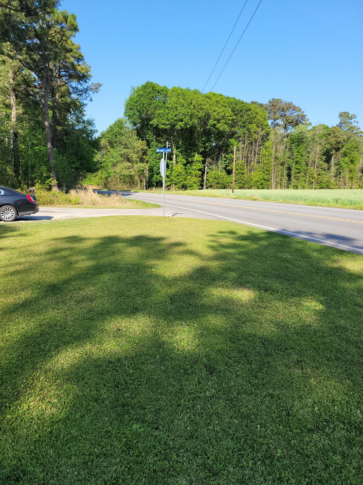 332 Short Cut Road Harleyville, SC 29448 - Photo 6 of 16 front yard