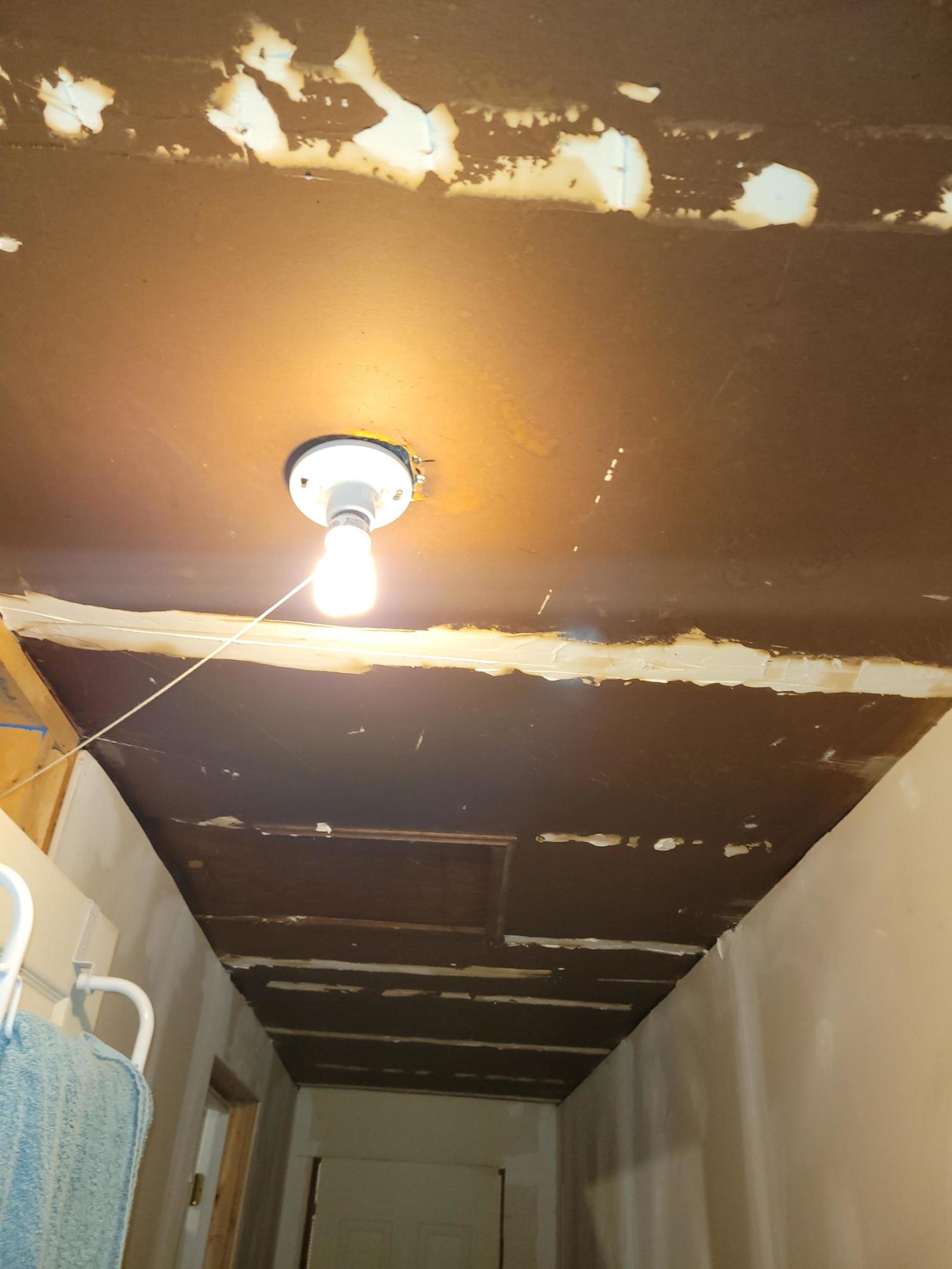 332 Short Cut Road Harleyville, SC 29448 - Photo 8 of 16 hallway ceiling
