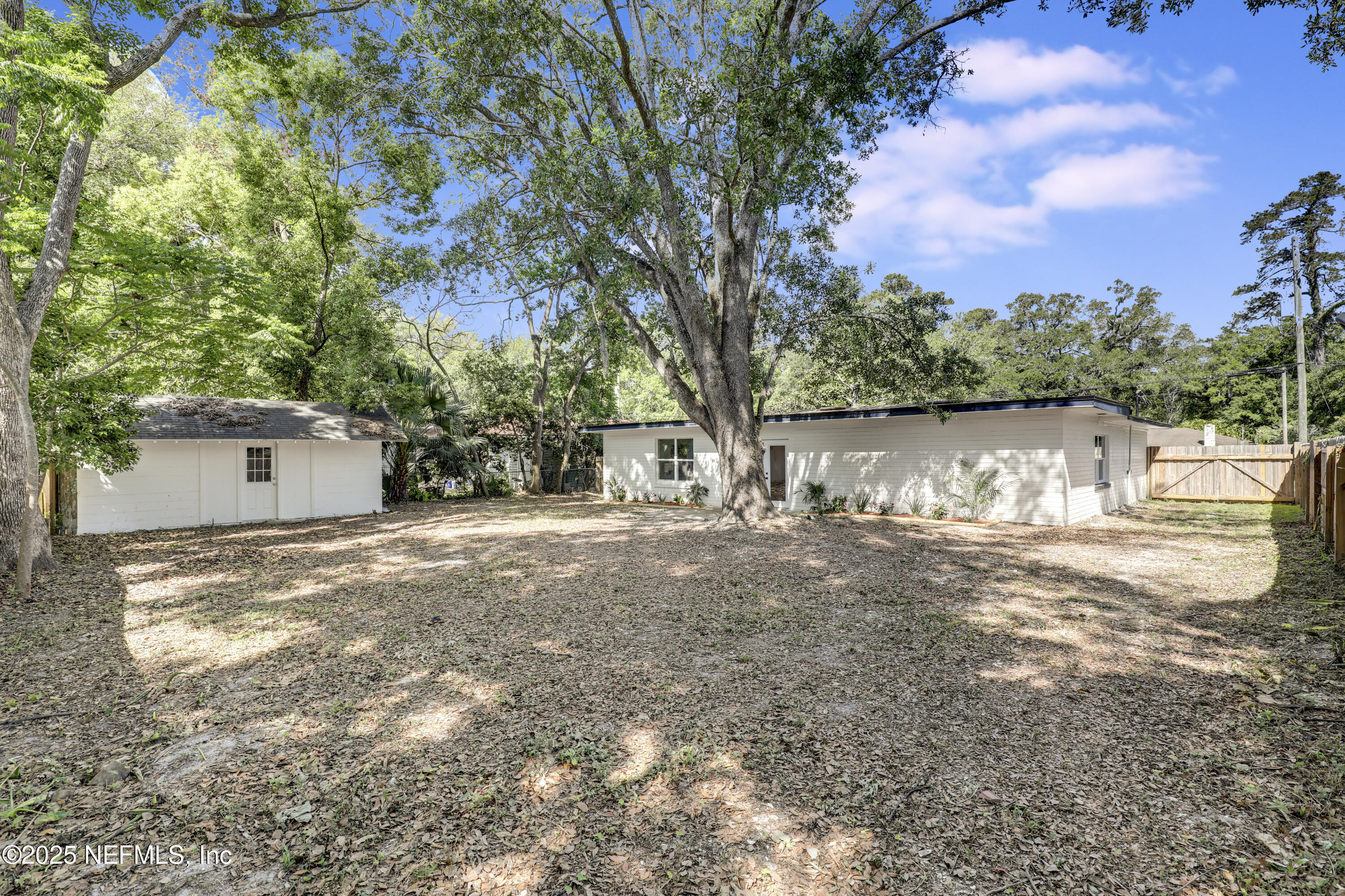 4630 Homestead Road Jacksonville, FL 32210 - Photo 35 of 45 a view of a yard with a house and a tree