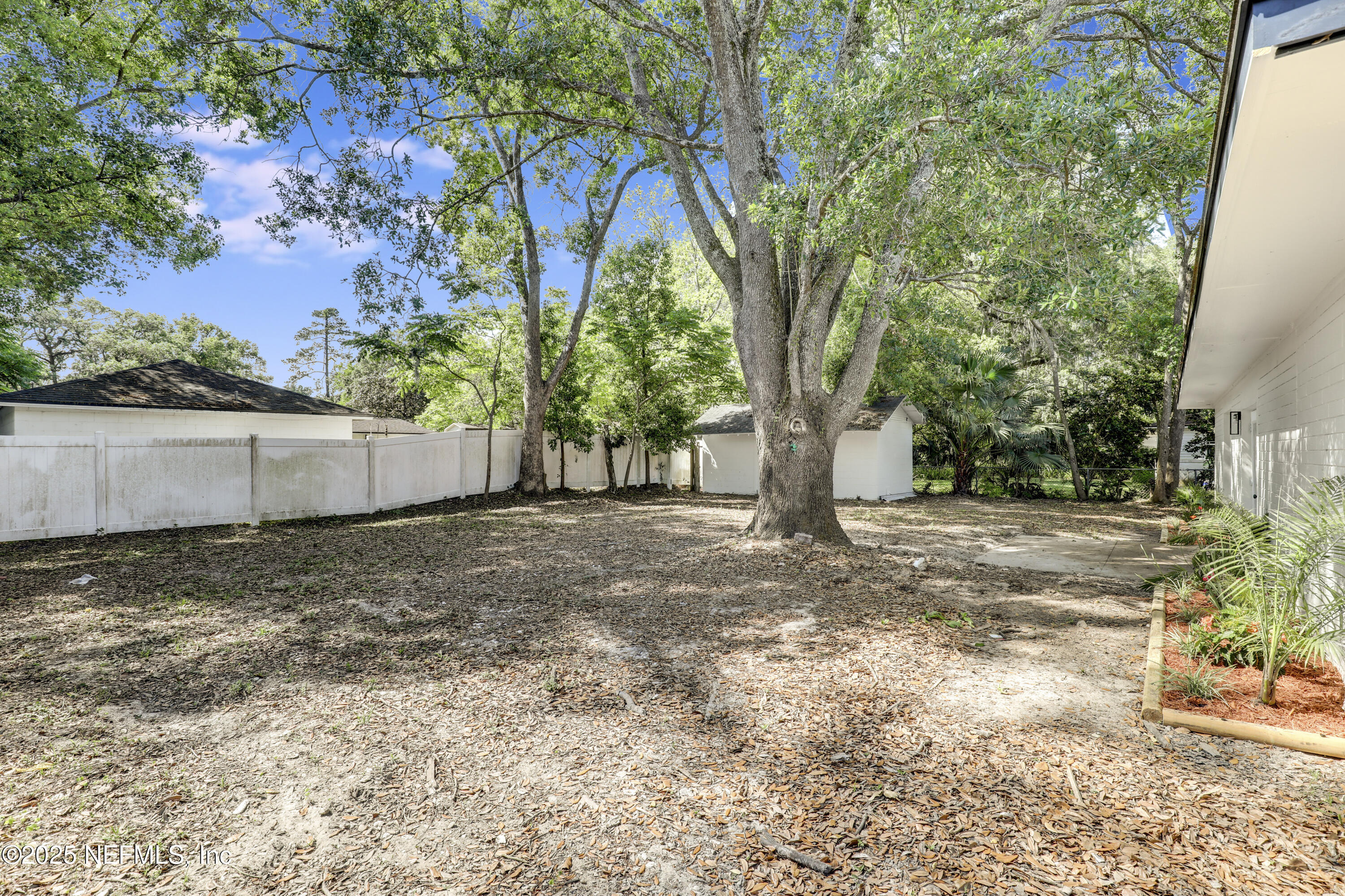 4630 Homestead Road Jacksonville, FL 32210 - Photo 36 of 45 a view of backyard with large trees and wooden fence