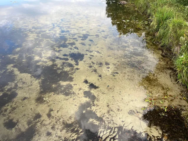 $450,000 | 28200 County Road 52, Bigfork, MN 56628