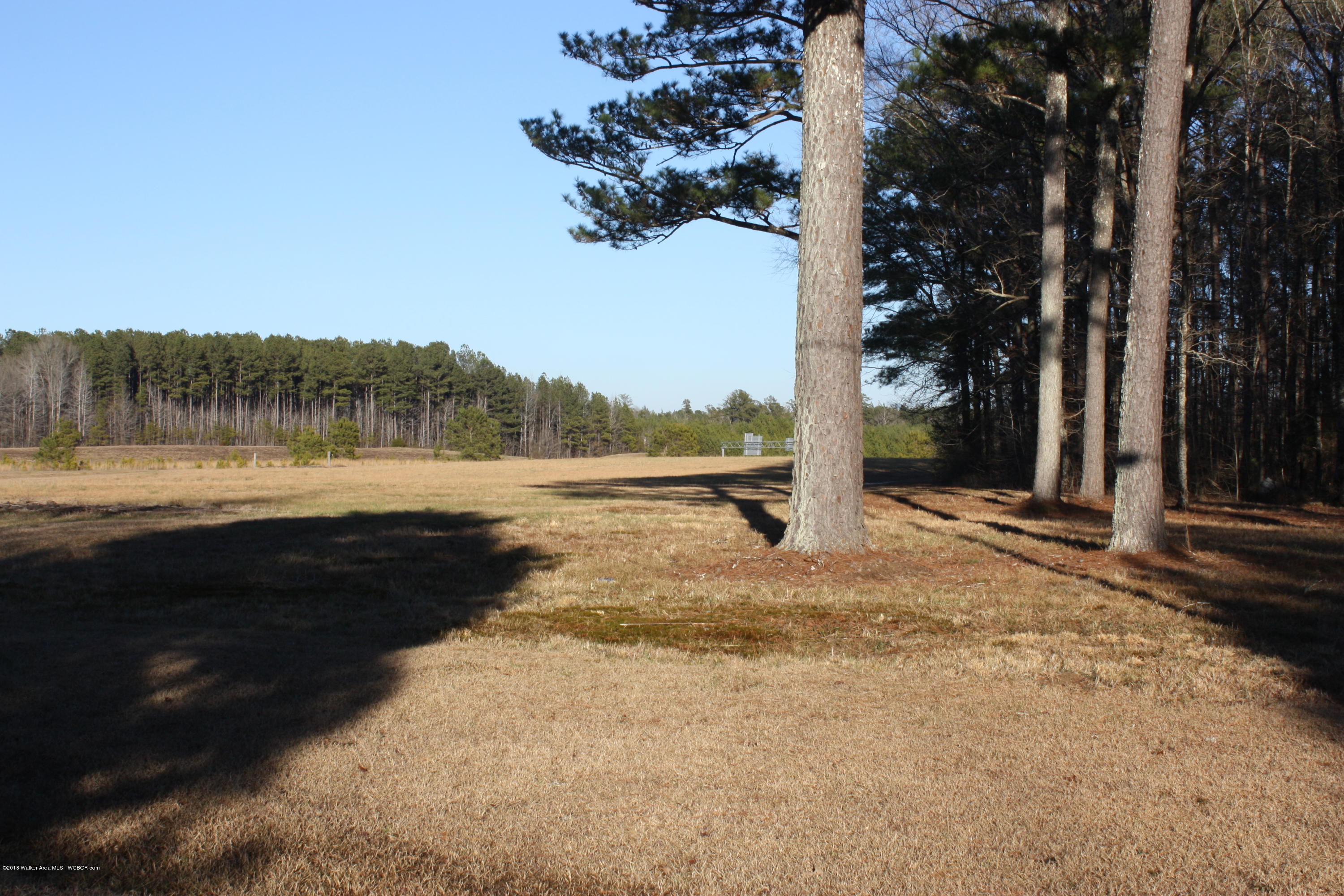 Henslee Road Carbon Hill, AL 35549 - Photo 3 of 13 Gallery Image 3