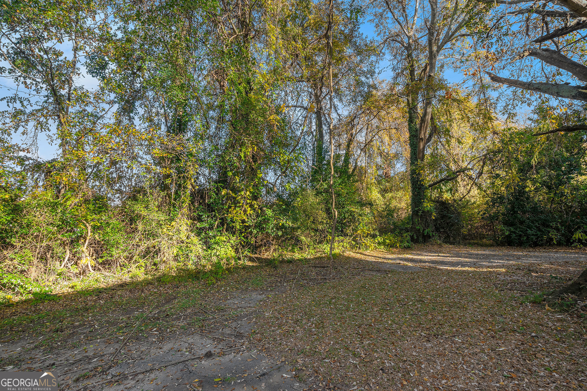 17 West Wright Street Winder, GA 30680 - Photo 29 of 31 a view of outdoor space with trees