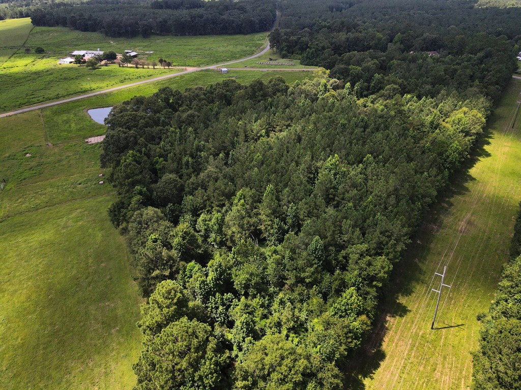 Xxx Taylor Road Magnolia, MS 39652 - Photo 18 of 23 7 +/- acres South of Power Line