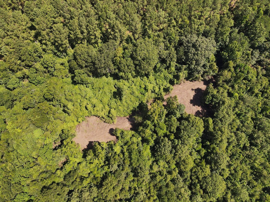 Xxx Taylor Road Magnolia, MS 39652 - Photo 5 of 23 Food Plot Locations