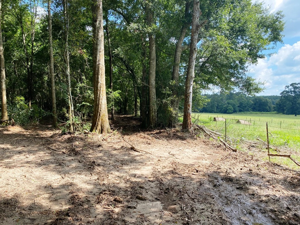 Xxx Taylor Road Magnolia, MS 39652 - Photo 9 of 23 From SE Corner Facing North
