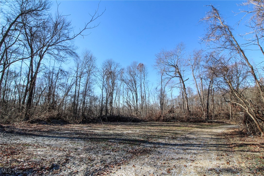 0 Pleasant Chapel Road Southeast Newark, OH 43056 - Photo 19 of 23 View of yard