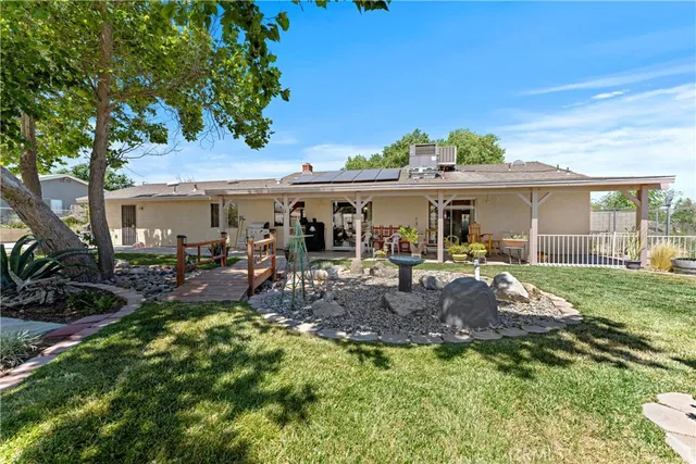 a view of a backyard with plants and large tree