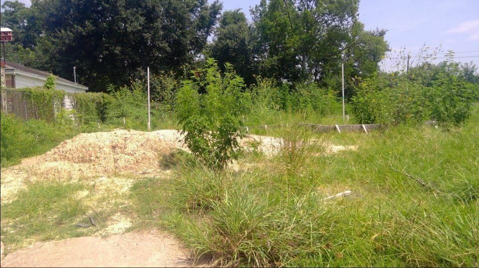 a view of lake view with tree