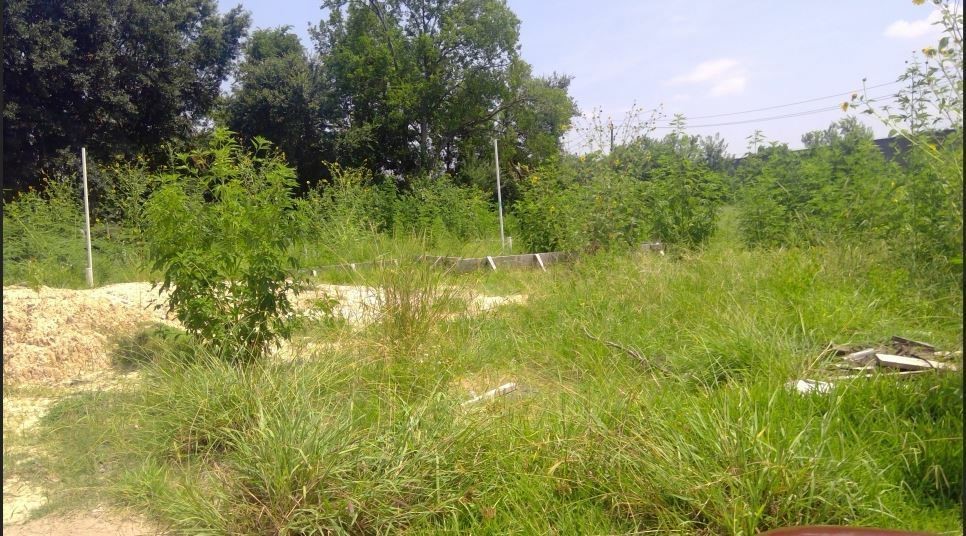 8783 Othello Street Houston, TX 77029 - Photo 2 of 2 a view of a garden