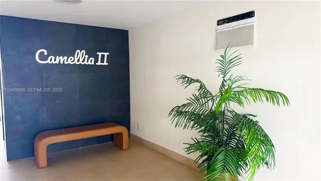 a view of outdoor space with a potted plant and a plant