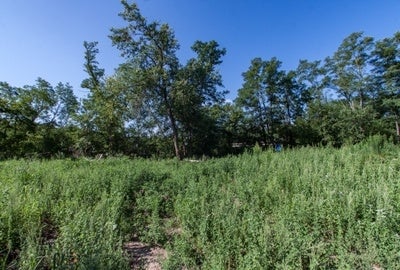 7 Acres On Park Road Iowa City, IA 52246 - Photo 29 of 30 Gallery Image 29