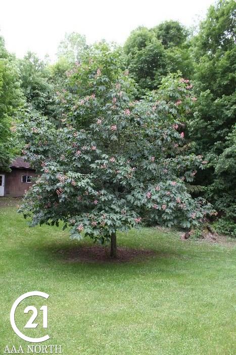 3032 South Blacks Corners Road Dryden, MI 48428 - Photo 38 of 40 Gallery Image 38