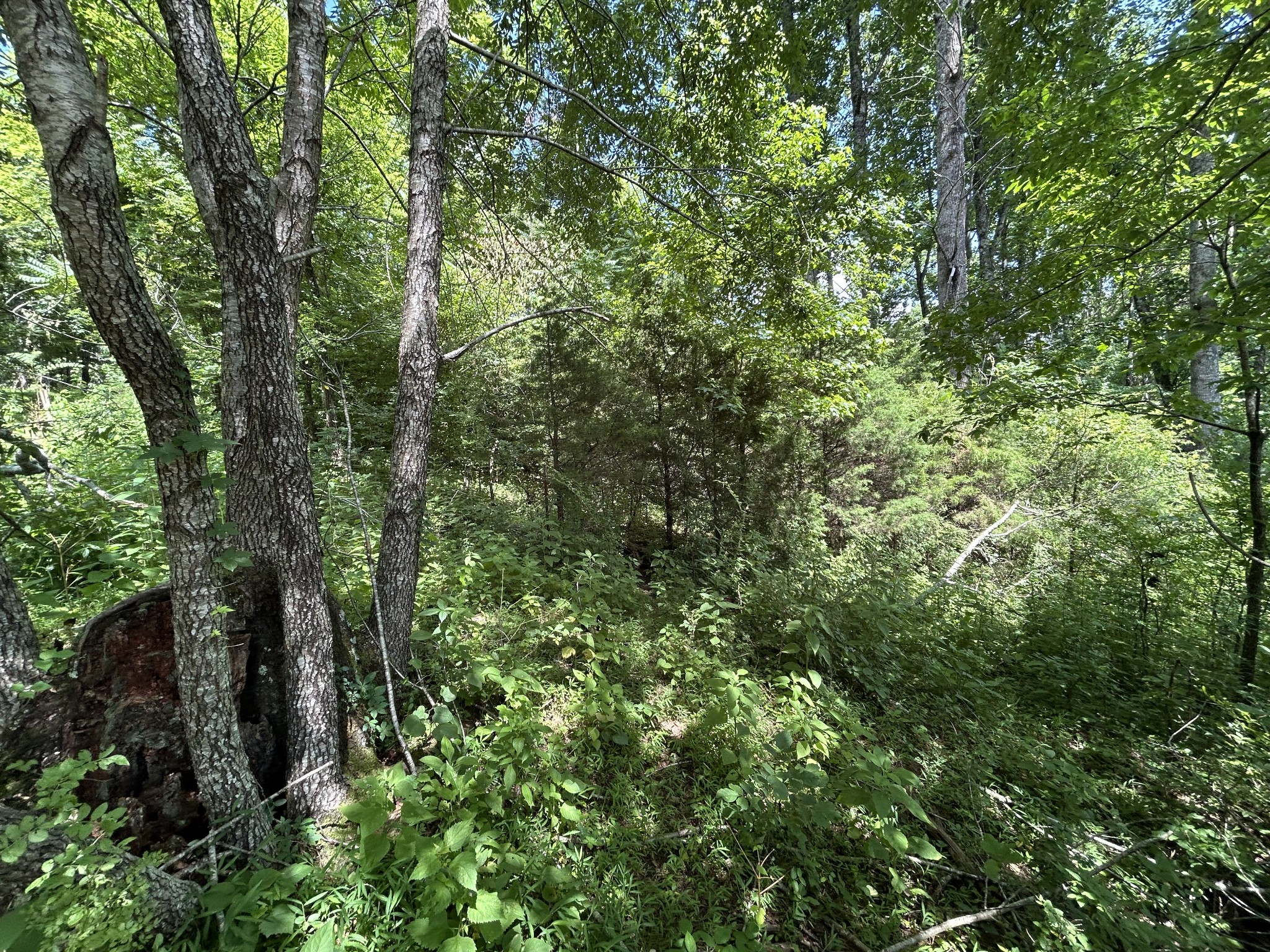1 New Hope Cemetery Road Pulaski, TN 38478 - Photo 19 of 21