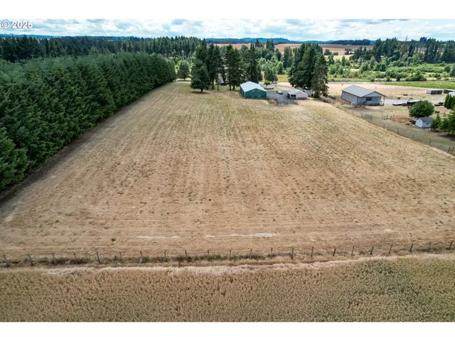 a view of outdoor space with garden