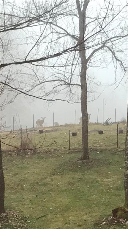 450 Leslie Road Valencia, PA 16059 - Photo 25 of 25 View from the kitchen window. Lots of deer. Hunting galore.