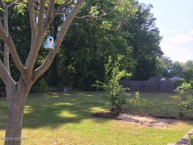 2931 Spring Haven Road Rocky Mount, NC 27804 - Photo 9 of 19 Wonderful backyard- privacy fence