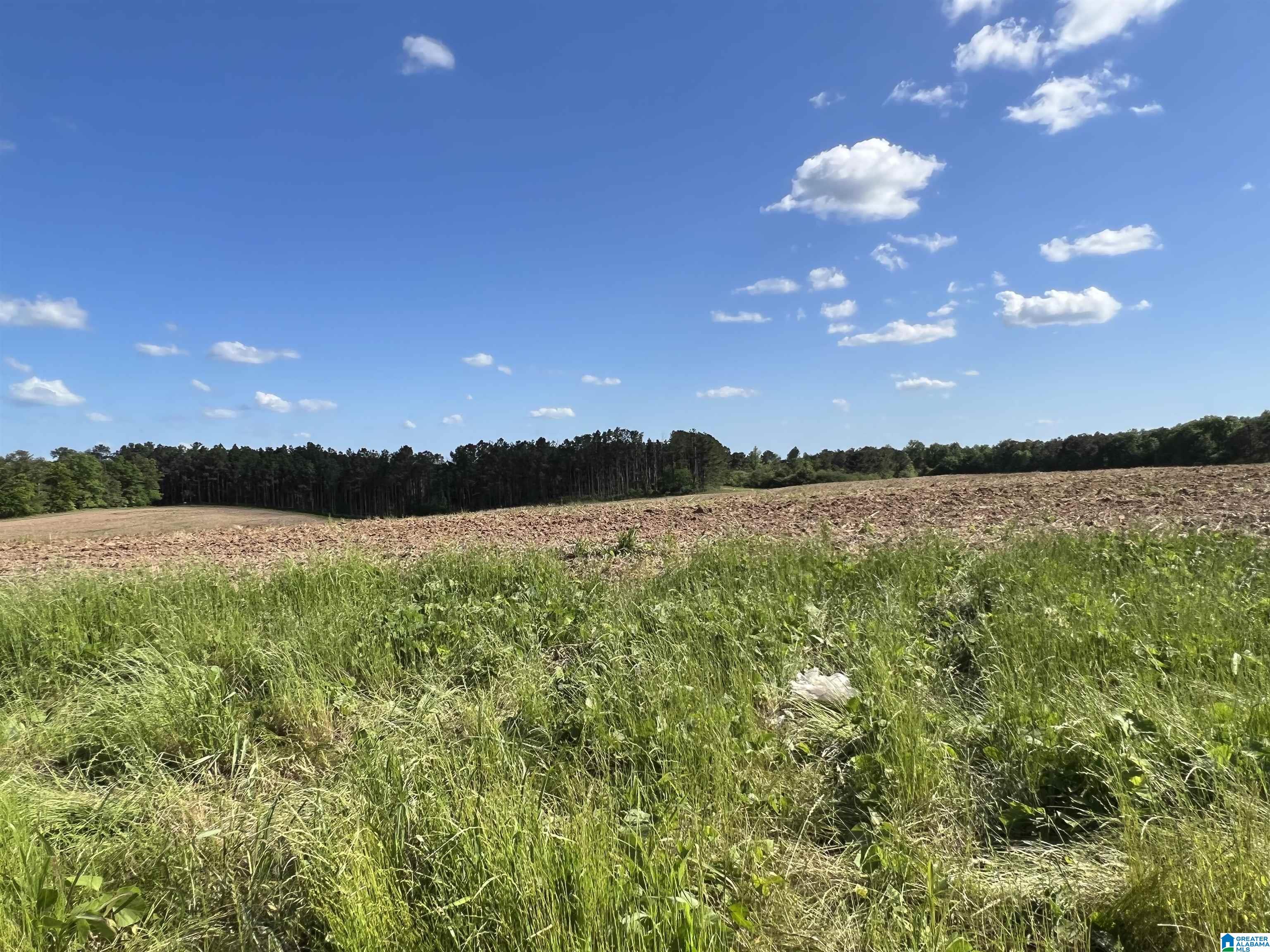 0 County Road 356 Clanton, AL 35045 - Photo 1 of 5
