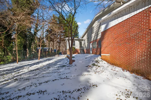 a view of dirt yard with a tree