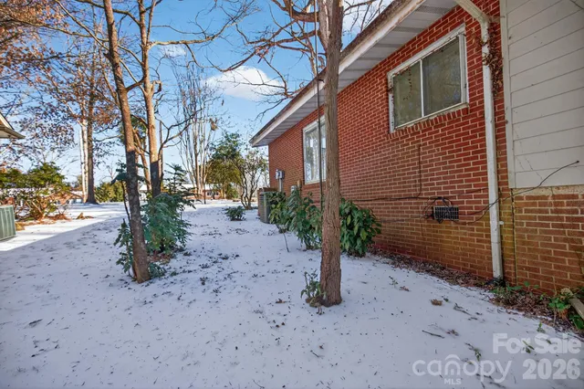 a view of a backyard with large tree