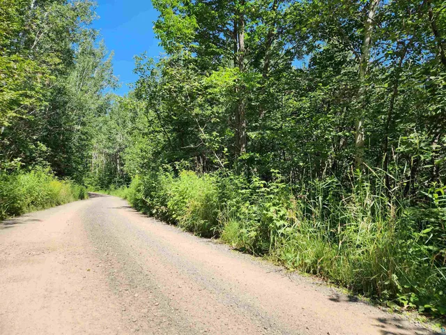 $160,000 | Xx Xx Black Granite Trail, Hovland, MN 55606