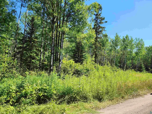 $160,000 | Xx Xx Black Granite Trail, Hovland, MN 55606
