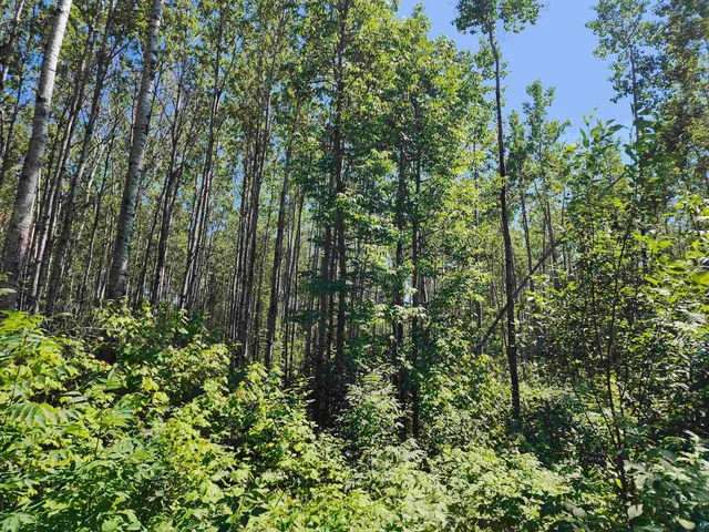 $160,000 | Xx Xx Black Granite Trail, Hovland, MN 55606