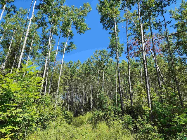 $160,000 | Xx Xx Black Granite Trail, Hovland, MN 55606