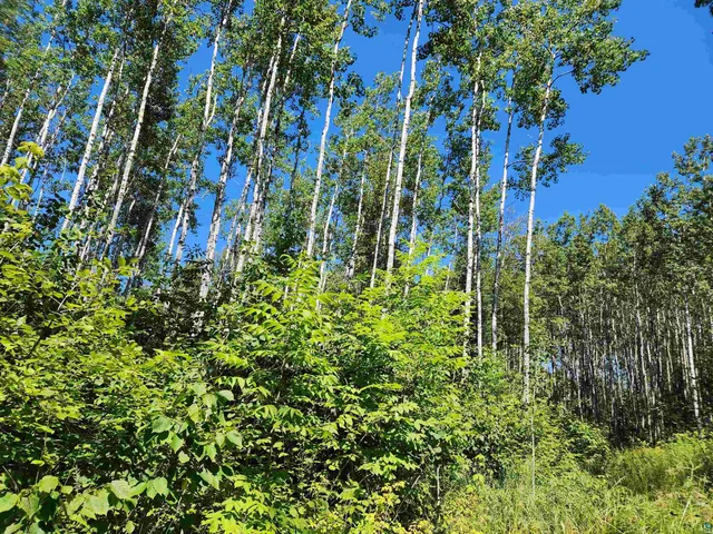 $160,000 | Xx Xx Black Granite Trail, Hovland, MN 55606