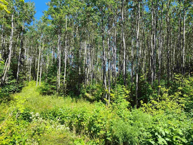 $160,000 | Xx Xx Black Granite Trail, Hovland, MN 55606