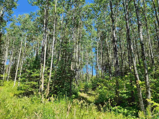 $160,000 | Xx Xx Black Granite Trail, Hovland, MN 55606