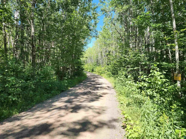 $160,000 | Xx Xx Black Granite Trail, Hovland, MN 55606