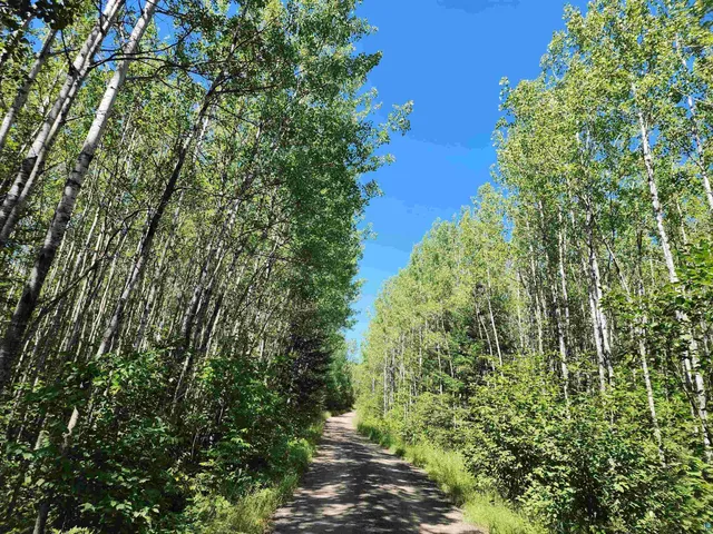 $160,000 | Xx Xx Black Granite Trail, Hovland, MN 55606