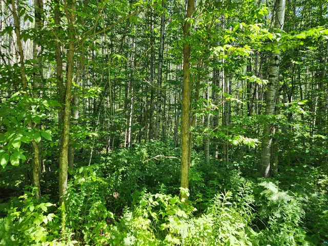 $160,000 | Xx Xx Black Granite Trail, Hovland, MN 55606