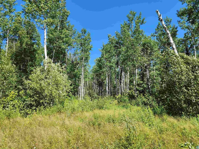 $160,000 | Xx Xx Black Granite Trail, Hovland, MN 55606