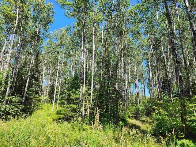 $160,000 | Xx Xx Black Granite Trail, Hovland, MN 55606