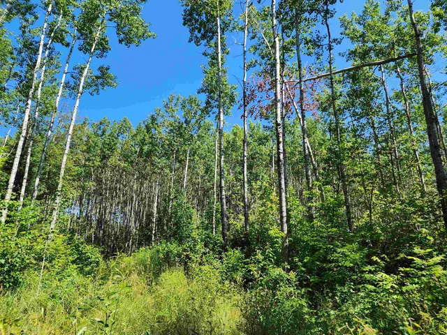 $160,000 | Xx Xx Black Granite Trail, Hovland, MN 55606