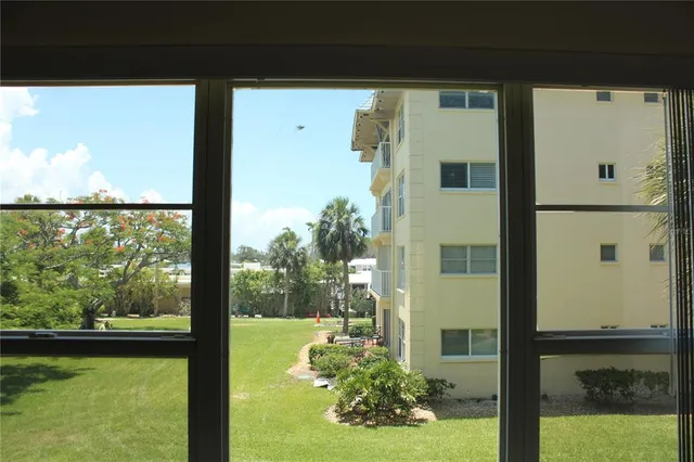a view of backyard from window