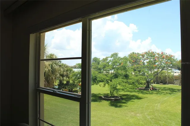 a view of a trees in a yard