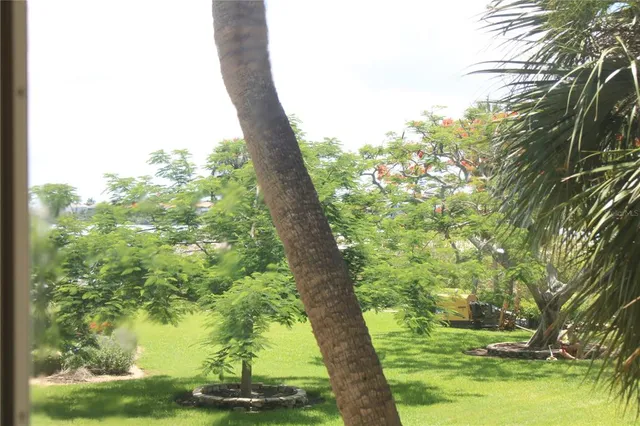 a picture of lake view