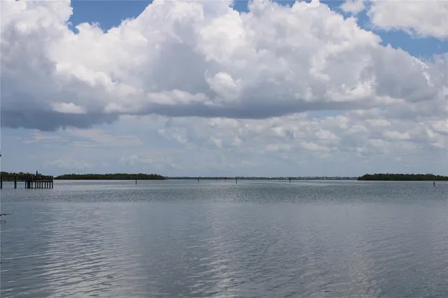 a view of a house with a yard and plants