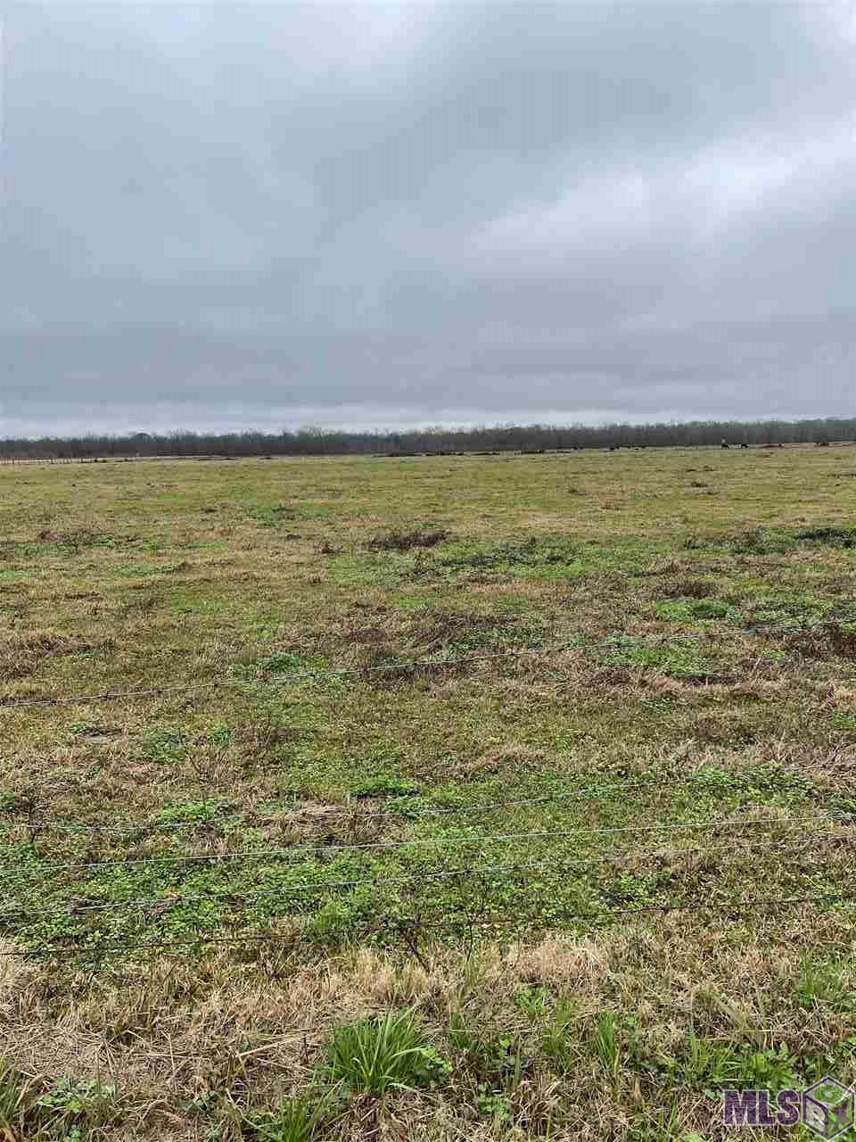 Tract B-3 Manda Road Oscar, LA 70762 - Photo 1 of 5 Gallery Image 1