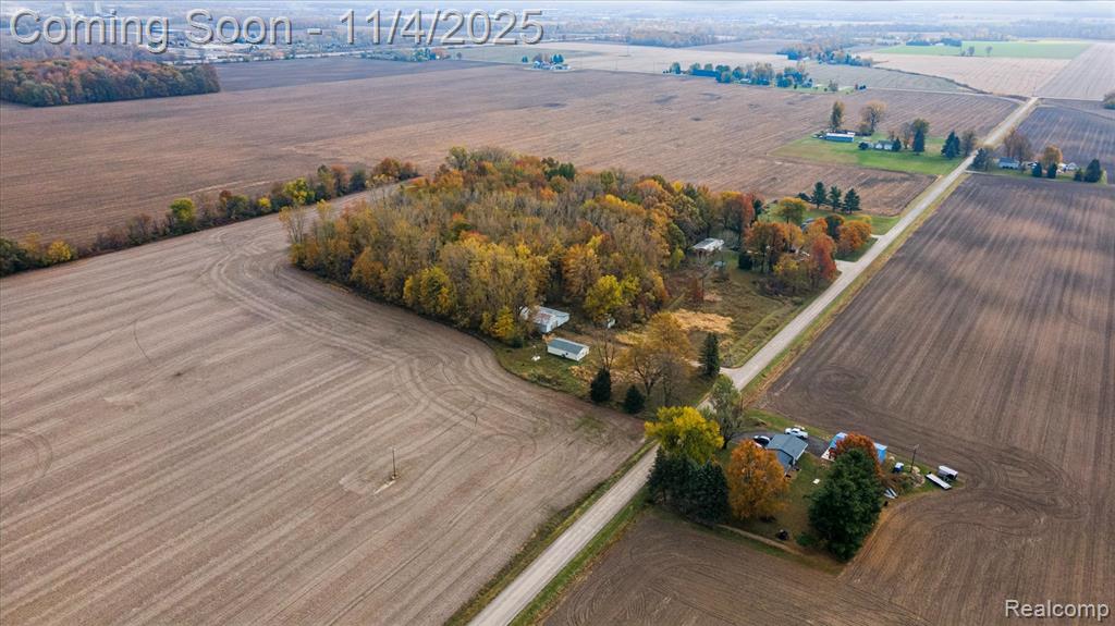 9200 Platt Road Dundee, MI 48131 - Photo 21 of 28