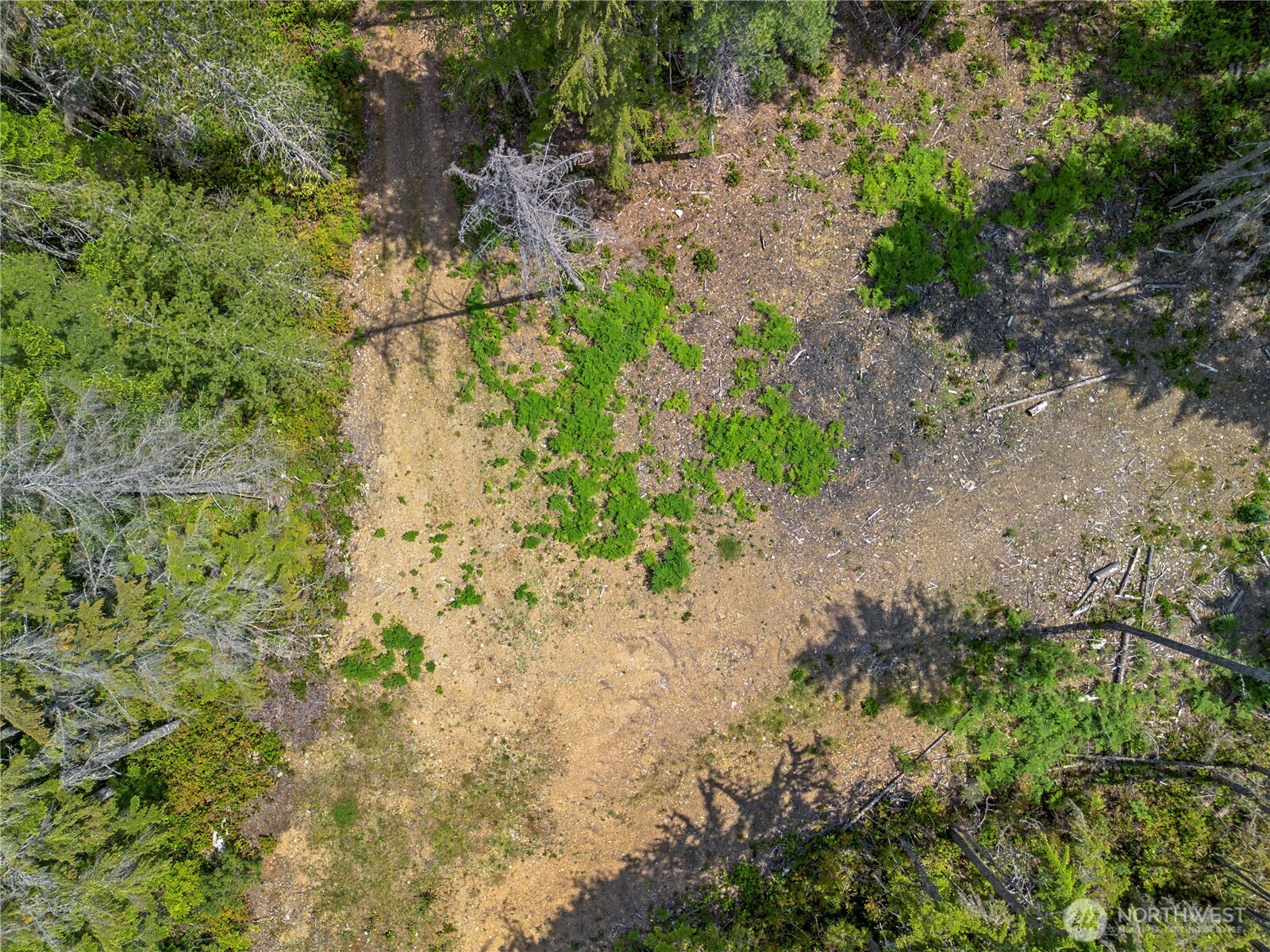 905 Northeast Tahuya Blacksmith Road Tahuya, WA 98588 - Photo 1 of 22 a view of a yard with a tree