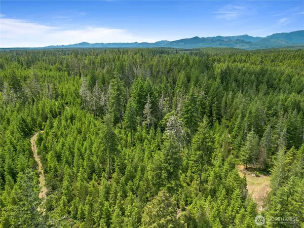 a view of an lush green mountain