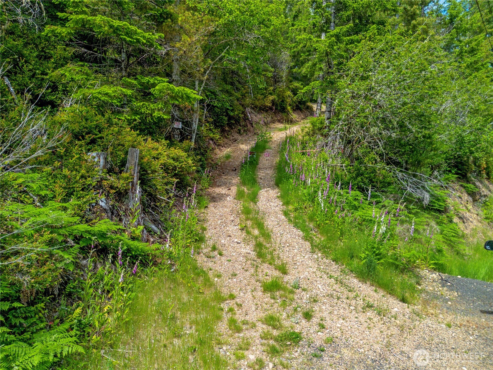 905 Northeast Tahuya Blacksmith Road Tahuya, WA 98588 - Photo 16 of 22 a view of a garden