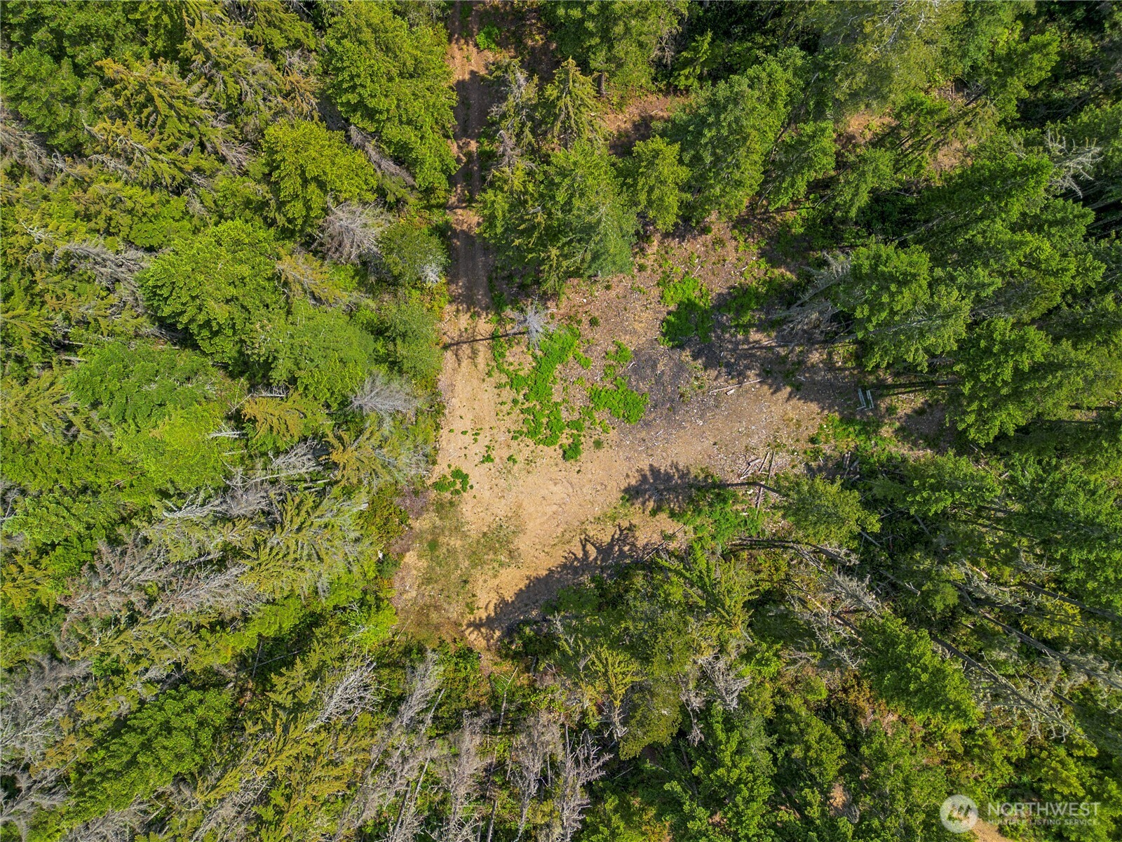 905 Northeast Tahuya Blacksmith Road Tahuya, WA 98588 - Photo 2 of 22 a view of a forest