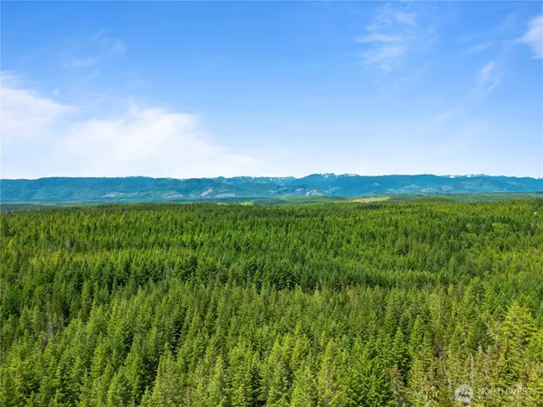 a view of a lush green outdoor space with a swimming pool and valleys in the background
